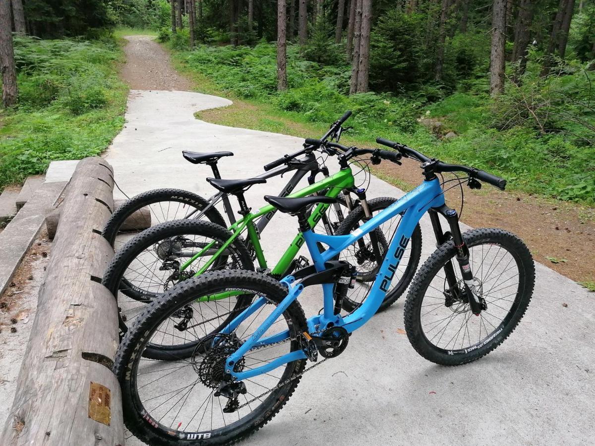 White Lavina - Ski, Bike, Hike Bansko Zewnętrze zdjęcie